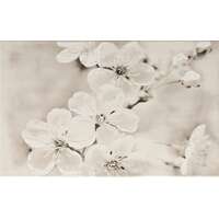 DEKORI 25X40 GRYFIN FLOWER DEKORI 25X40 GRYFIN FLOWER