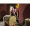 ALLIGAATORSAAG DWE397 DEWALT 1700W TERA 425MM ALLIGAATORSAAG DWE397 DEWALT 1700W TERA 425MM