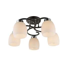 VALGUSTI GLOBO 69018-5 PESSOA IV RIPP