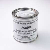TOUCH-UP PAINT  CANEXEL ACADIA 284ML
