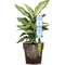 KASTMISSEADE LILLEPOTTIDELE LIME GF80286343