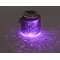 VALGUSTI SOLAR 0,06W LED D110 PURPUR/VIOLET IP44 VALGUSTI SOLAR 0,06W LED D110 PURPUR/VIOLET IP44