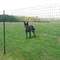 PLASTVÕRK RANCH ЗЕЛЕНЫЙ  1,5X10 M