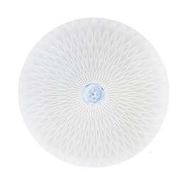 RADIUS Ceiling Light Ø480 48W 3600lm 6400K White