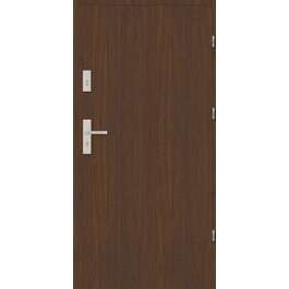 METAL FRONT DOOR FOR HOUSE  MASTERTHERM 55 10X21 right