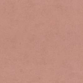 TAPEET 408157 RASCH 20/12