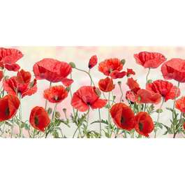 PANEEL PVC 9213 957X477MM