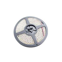 LED STRIP 10mm 3m 3000K