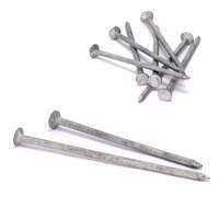 NAEL ETERNIIDI 4x100 ZN 1KG