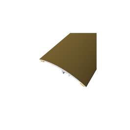 TRANSITION STRIP  A5-2M 60MM PRONKS DIONE