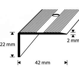 STEP NOSING D7-2M 42x22MM KULD DIONE