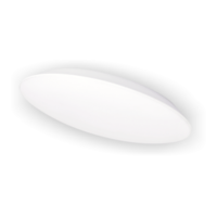Ceiling Light Fixture   SORA 12W LED 1020Lm D23 IP54