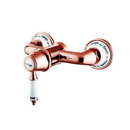  BATHROOM FAUCET BLUE STAR CA521RG DUŠI ROOSA KULD