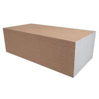 KIPSPLAAT KNAUF KEK13 3,0X1,2 TUGEV KIPSPLAAT KNAUF KEK13 3,0X1,2 TUGEV