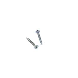 WOOD SCREW TORX10 ZN 3.0X25 30TK/PK