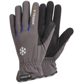 GLOVES TALV TEGERA 417 SÜNT.NAHAST SUURUS 9 GLOVES TALV TEGERA 417 SÜNT.NAHAST SUURUS 9