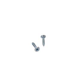 WOOD SCREW PP ZN 4X20 30TK/PK