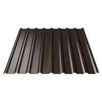 TRAPETSPROFIIL 1100X2000 PE RR32