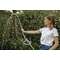 GARDEN HOSE  AQUALIGHT 3/4´´ 15M+OTSIKUD