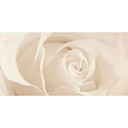 DEKORI 29,7X60 EFFECTA BEIGE