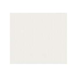 TAPEET 38099-2 ASIO 0.53X10M
