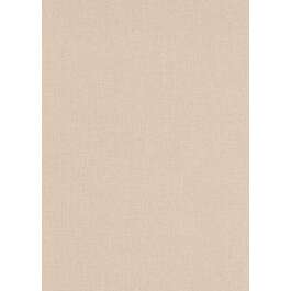TAPEET 10215-05 ASIO 0.53X10M