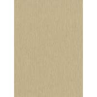 WALLPAPER 10212-20 ASIO 0.53X10M WALLPAPER 10212-20 ASIO 0.53X10M
