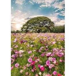 KLAASPILT 50X70CM GL368