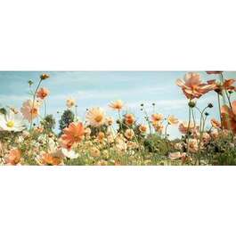 GLASS PICTURE 50X125CM GL306