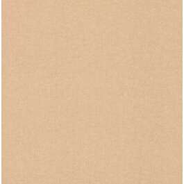 TAPEET 252866 RASCH 22/3