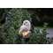 PÄIKESEPANEELIGA DEKORATSIOON OWL