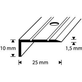STEP NOSING D1-1M 25x10MM HÕBE DIONE