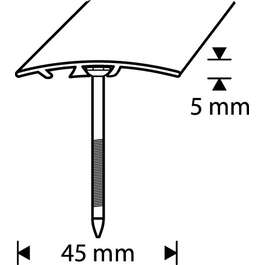 ÜLEMINEKULIIST 45MM 1M PIIMJAS TAMM DIONE