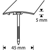 ПЛАНКА ПЕРЕХОДА   45MM 1M NATURAALNE ДУБ  DIONE