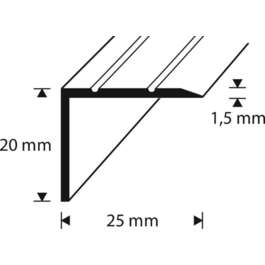 CORNER TRIM  ISELIIMUV 25X20X2000MM PIIMJAS OAK 