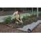 GEOTEKSTIIL NETEX HOME 1x10M/ 10m²