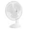 FAN  30CM VALGE LAUA
