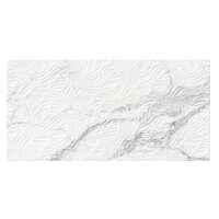 WALL TILE 30X60 LEAVES ANIMA BRILIO