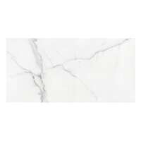 WALL TILE 30X60 ANIMA BRILIO