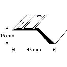 ÜLEMINEKULIIST C3-3M 15/45MM KULD DIONE