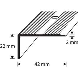 STEP NOSING D7-1M 42X22MM CHROME  DIONE