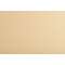 BLINDS IRID 1 NATURAL 60x170cm BLINDS IRID 1 NATURAL 60x170cm