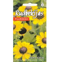 SEEMNED PÄEVAKÜBAR TOTO GOLD 10s
