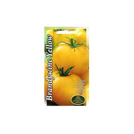 SEEMNED TOMAT BRANDYWINE YELLOW 0,1gr