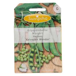 SEEMNED HERNES KELVEDON WONDER 100gr