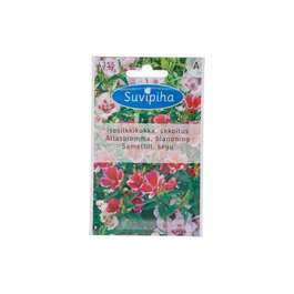 SEEMNED SUVIPIHA SAMETLILL SEGU 0,4gr