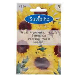 SEEMNED SUVIPIHA PÄEVALILL SUNSPOT MADAL 1gr