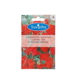 SEEMNED SUVIPIHA LILLHERNES PUNANE 2gr