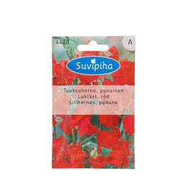 SEEMNED SUVIPIHA LILLHERNES PUNANE 2gr