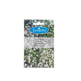 SEEMNED SUVIPIHA LOBEELIA WHITE LADY VALGE 0,2gr